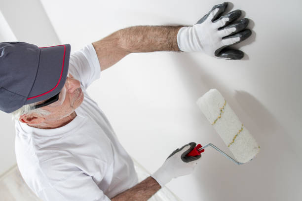 Best Custom Drywall Patching  in USA